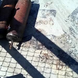 Meet your Posher, Javier